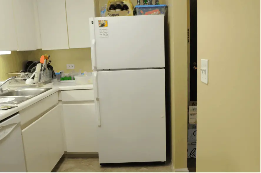 Can I Replace RV Refrigerator With a Residential Refrigerator?
