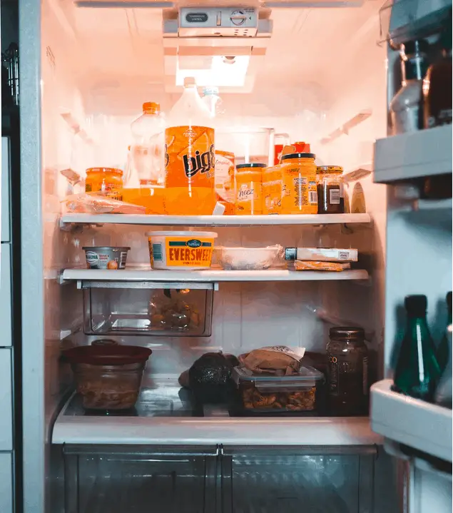 rv refrigerator