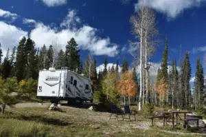 What does RV Stand for? (RV Types, Common Questions, Slangs)